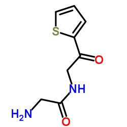 N-[2-Oxo-2-(2-thienyl)ethyl]glycinamide结构式