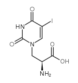 (S)-(-)-5-Iodowillardiine Structure