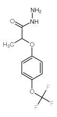 2-[4-(trifluoromethoxy)phenoxy]propanehydrazide Structure