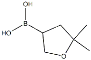 5,5-Dimethyltetrahydrofuran-3-boronic acid Structure