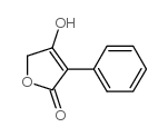 4-HYDROXY-3-PHENYL-2(5H)-FURANONE picture