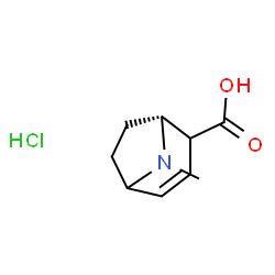 (1R)-8-methyl-8-azabicyclo[3.2.1]oct-3-ene-2-carboxylic acid hydrochloride structure