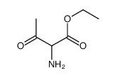 BUTANOIC ACID, 2-AMINO-3-OXO-, ETHYL ESTER picture