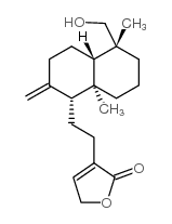 19-hydroxy-8(17),13-labdadien-16,15-olide structure