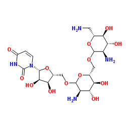 2,6-Diamino-2,6-dideoxy-D-glucopyranosyl-(1->6)-2-amino-2-deoxy-D-glucopyranosyl-(1->5)uridine结构式