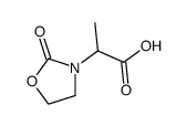 2-(2-Oxo-1,3-oxazolidin-3-yl)propanoic acid picture