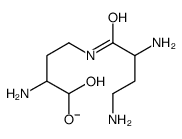 gamma-poly-alpha,gamma-diaminobutyric acid structure