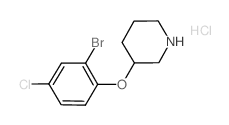 3-(2-Bromo-4-chlorophenoxy)piperidine hydrochloride结构式