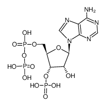 adenosine 3'-phosphate 5'-diphosphate结构式