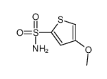 2-Thiophenesulfonamide,4-methoxy-(9CI) picture