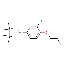 3-Chloro-4-propoxyphenylboronic acid pinacol ester结构式