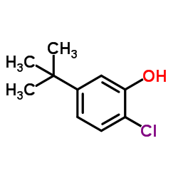 5-tert-butyl-2-chlorophenol结构式