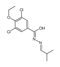 3,5-dichloro-4-ethoxy-N-[(E)-2-methylpropylideneamino]benzamide结构式