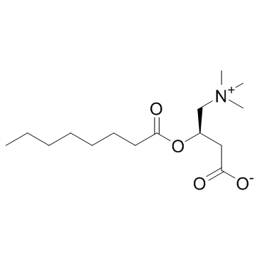 辛酰- L -肉碱结构式