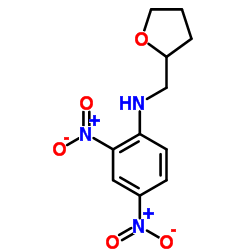 (2,4-Dinitro-phenyl)-(tetrahydro-furan-2-ylmethyl)-amine结构式