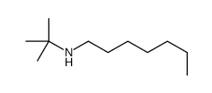 N-tert-butylheptan-1-amine Structure