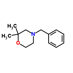 4-Benzyl-2,2-dimethylmorpholine structure