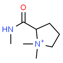 Pyrrolidinium,1,1-dimethyl-2-[(methylamino)carbonyl]- picture