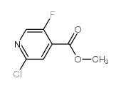 2-Chloro-5-fluoroisonicotinic acid methyl ester Structure