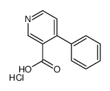 4-苯基烟酸盐酸盐结构式