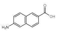 6-AMINO-2-NAPHTHOIC ACID Structure