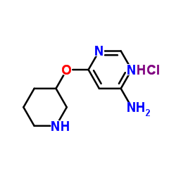 6-(Piperidin-3-yloxy)-pyrimidin-4-ylamine hydrochloride Structure