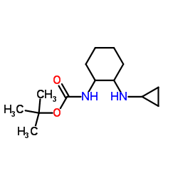 2-Methyl-2-propanyl [2-(cyclopropylamino)cyclohexyl]carbamate结构式