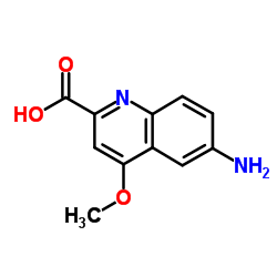 6-Amino-4-methoxy-2-quinolinecarboxylic acid Structure