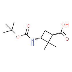 (1S,3R)-3-{[(tert-butoxy)carbonyl]amino}-2,2-dimethylcyclobutane-1-carboxylic acid Structure
