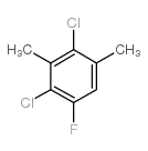 2,4-DICHLORO-1,3-DIMETHYL-5-FLUOROBENZENE structure