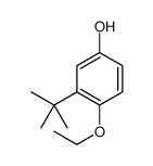 3-tert-butyl-4-ethoxyphenol Structure