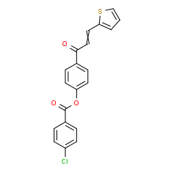 4-[3-(2-THIENYL)ACRYLOYL]PHENYL 4-CHLOROBENZENECARBOXYLATE picture
