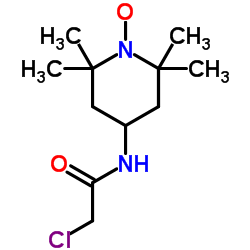 2-chloro-N-(1-hydroxy-2,2,6,6-tetramethyl-4-piperidyl)acetamide picture