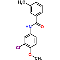 N-(3-Chloro-4-methoxyphenyl)-3-methylbenzamide Structure