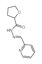 N-(pyridin-2-ylmethylideneamino)oxolane-2-carboxamide Structure