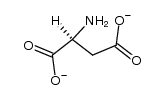 aspartic acid anion II Structure