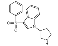 3-(benzenesulfonyl)-1-pyrrolidin-3-ylindole Structure