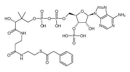 Phenylacetyl-Coenzyme A structure