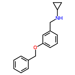 N-[3-(Benzyloxy)benzyl]cyclopropanamine结构式