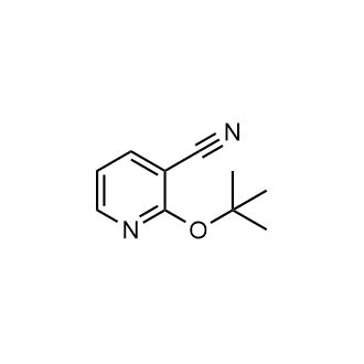 2-(1,1-二甲基乙氧基)-3-吡啶腈结构式