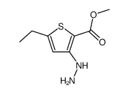 2-Thiophenecarboxylicacid,5-ethyl-3-hydrazino-,methylester(9CI) Structure