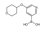 5-((Tetrahydro-2H-pyran-4-yl)oxy)pyridine-3-boronic acid picture