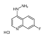 7-Fluoro-4-hydrazinoquinoline hydrochloride Structure
