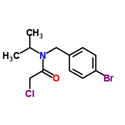 N-(4-Bromobenzyl)-2-chloro-N-isopropylacetamide结构式