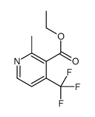 ethyl 2-methyl-4-(trifluoromethyl)pyridine-3-carboxylate结构式