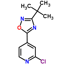 4-(3-tert-Butyl-1,2,4-oxadiazol-5-yl)-2-chloropyridine Structure