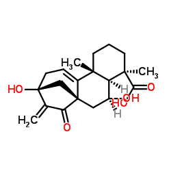 Pterisolic acid A Structure
