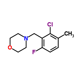 4-(2-Chloro-6-fluoro-3-methylbenzyl)morpholine结构式