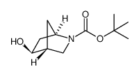 相对于叔丁基(1S,4S,5R)-5-羟基-2-氮杂双环[2.2.1]庚烷-2-羧酸酯图片