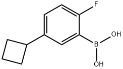 2-Fluoro-5-(cyclobutyl)phenylboronic acid结构式